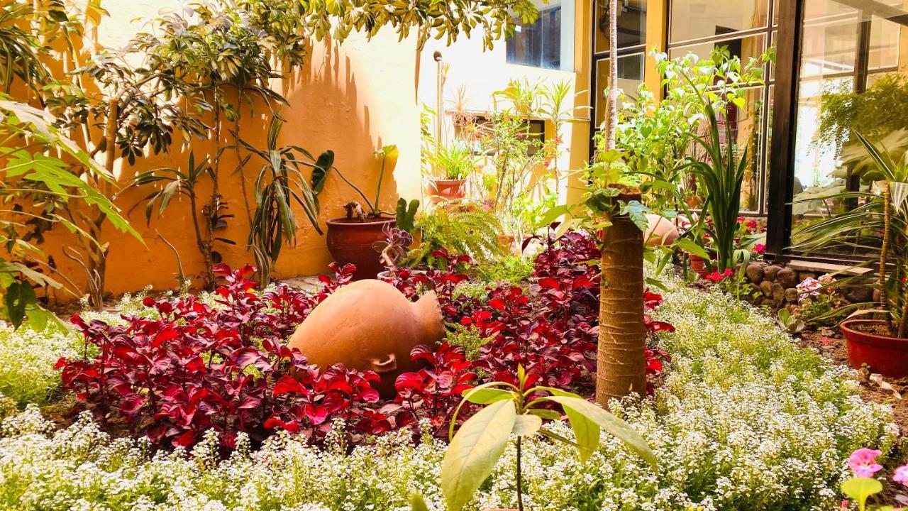 Arequipa Inn Kültér fotó